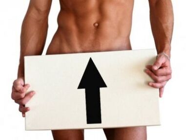 Review of male potency stimulants