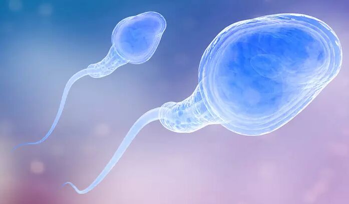 Sperm may be present in men before ejaculation
