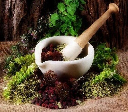 Herbs will help increase potency in men