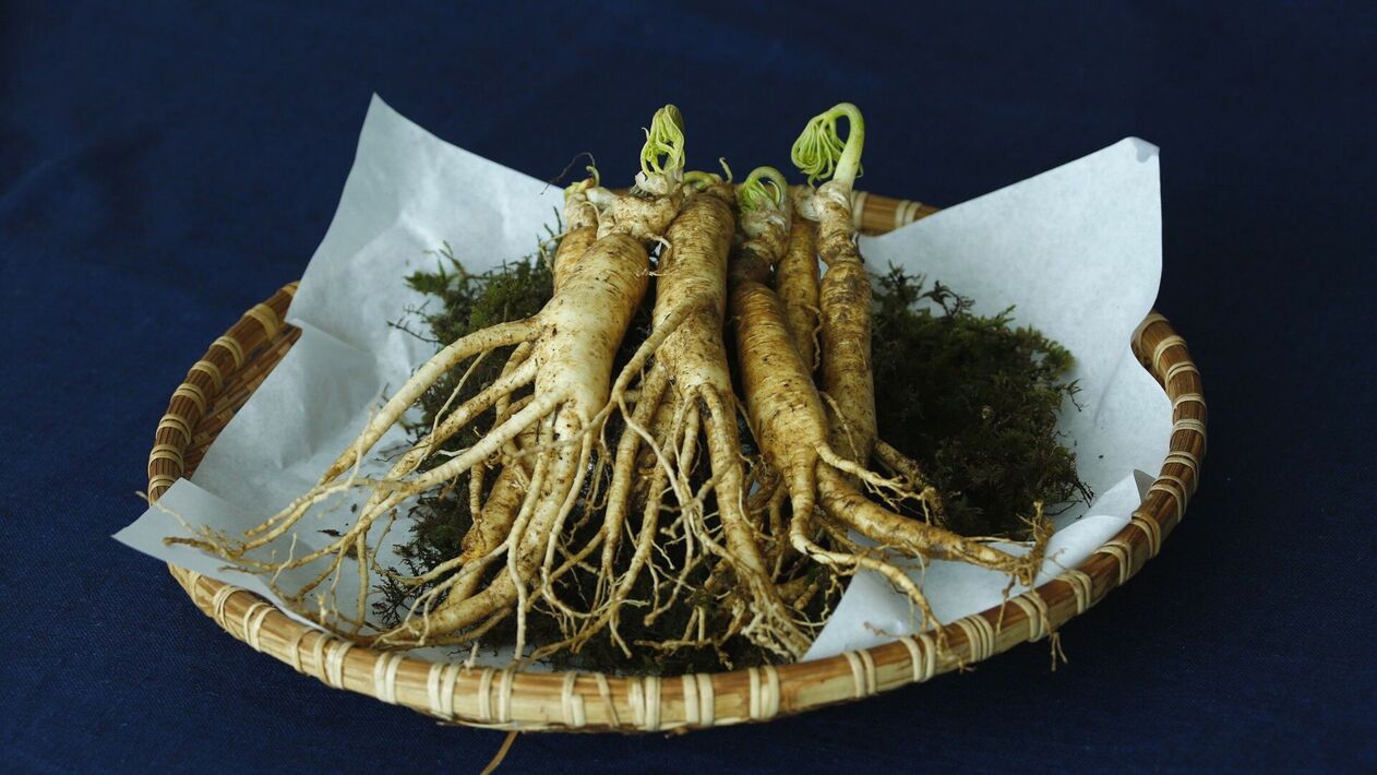 Ginseng root increases potency
