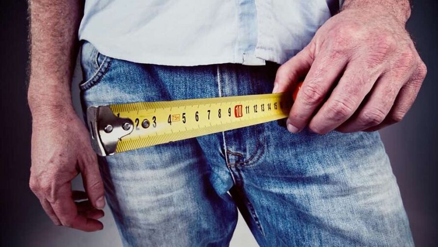 13cm is the average size of a male’s penis when erect